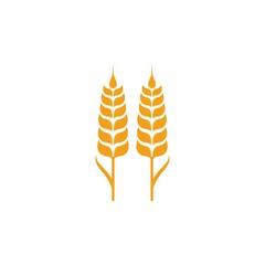 Agriculture wheat Logo Template vector icon