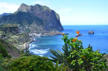 View over Porto da Cruz, Madeira, Portugal - obrazy, fototapety, plakaty