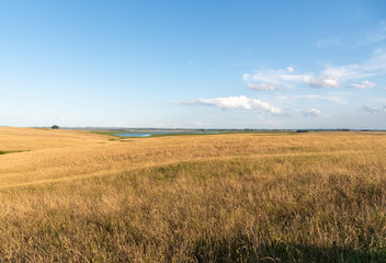 Obraz premium Farms in southern Brazil and the landscape of the Pampa Gaúcho