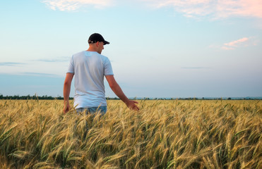 Naklejka na ściany i meble Male farmer standing in a wheat field during sunset. Man Enjoys Nature