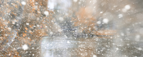 Background autumn park in the first snow
