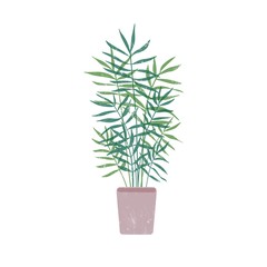 Chamaedorea in flowerpot flat vector illustration. Natural plant with thin leaves in clay pot. Organic decoration, beautiful houseplant isolated on white background. Decorative greenery.