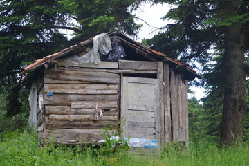 old wooden house in the forest