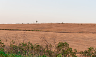 Fototapeta premium Farms in southern Brazil and the landscape of the Pampa Gaúcho