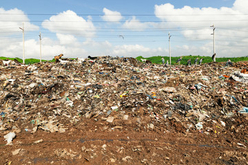 Mountain of rubbish and plastic bags, in the Dandora landfill in Nairobi, with marabu birds. High pollution and serious damage to the ecosystem.