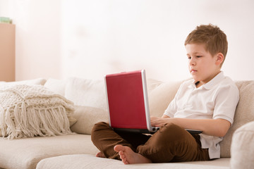 Cute boy sits on a sofa and works at a laptop computer. The child is focused on homework. Early development and education for children. Safe Internet, protecting children from prohibited content.