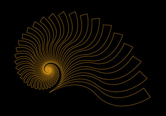 nautilus fossil linear gold black