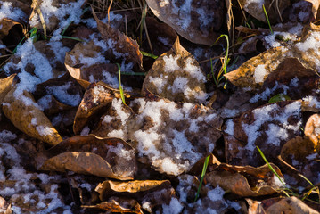 Zima na Podlasiu, Dolina Górnej Narwi, Polska © podlaski49