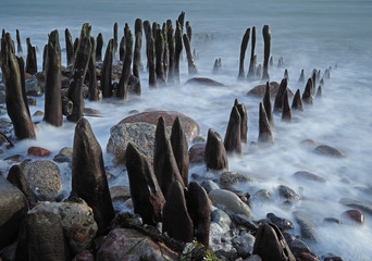 alte Holzpfähle und Steine am Strand vom Meer umspült