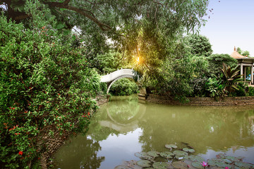 Chinese arch bridge with pond and trees on the park