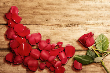 Red rose and rose petals on a wooden table