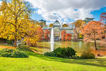Fototapeta premium Fountain in a lake in city park among old bald cypress trees (taxodium distichum)