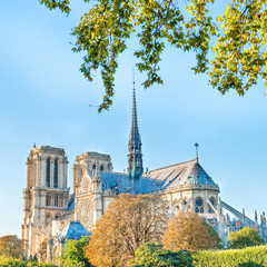 Fototapeta na wymiar Notre Dame de Paris - famous cathedral with blue sky