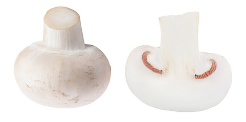 half of Fresh mushroom champignon isolated on white background with clipping path