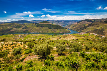 Fototapeta na wymiar Douro Valley - Vila Real District, Portugal