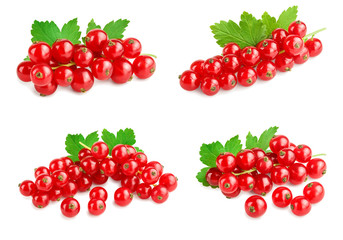 Red currant berries with leaf isolated on white background. Set or collection