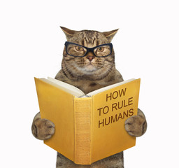 The beige cat in glasses is reading a book called how to rule humans. White background. Isolated.