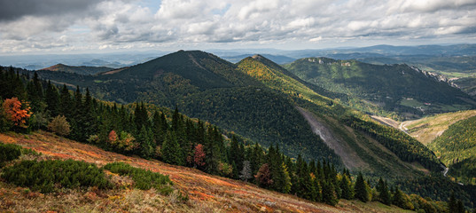Góry, dolina, las, widok, Słowacja