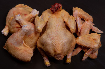 broiler chicken and its meat on a black background.