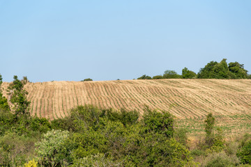 Landscapes and the singularities of the South American Pampas