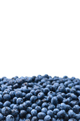 Fresh blueberry background. Texture blueberry berries close up.