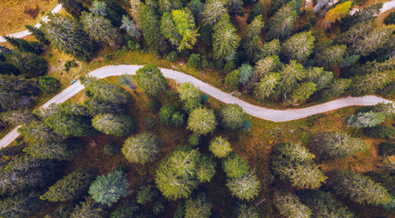 Obraz na płótnie Canvas Scenic aerial view of a winding trekking path in a forest. Trekking path in the forest from above, drone view. Aerial top view of a trail in the middle of a forest. Aerial view of footpath in forest.