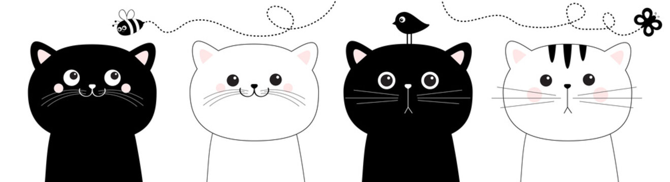 Cat Set . Black White Head Face Line Contour Silhouette Icon. Flying Bee, Bird, Butterfly Insect. Funny Kawaii Doodle Animal. Cute Cartoon Funny Character. Pet Collection. Flat Design Baby Background.