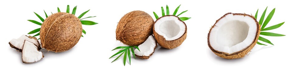 coconut with leaves isolated on white background. Set or collection