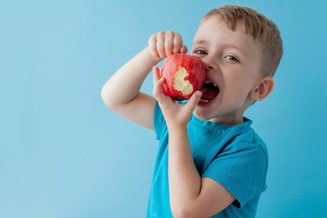 Baby child holding and eating red apple on blue background, food, diet and healthy eating concept