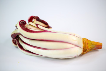 Trevisiano radicicchio auf weißem Hintergrund © Dagmar Breu