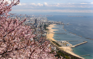 山上の桜と町並み