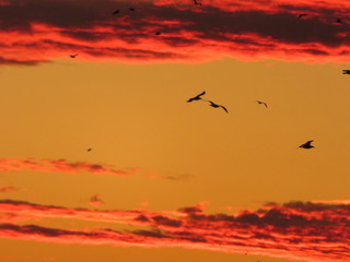 Naklejka premium Beautiful photo of a sunset with nice color in the clouds