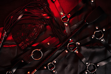 BDSM set with leather whip, belt and choker