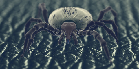 3d rendered illustration of a tick on human skin, sem style