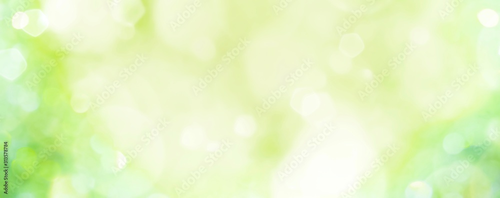 Wall mural spring background - abstract banner - green blurred bokeh lights -
