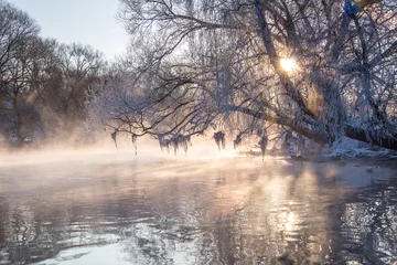Foto auf Leinwand River bank with trees and grass in hoarfrost in the frosty winter morning at dawn. © Uladzimir