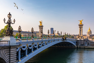Pont Alexandre III-brug over de rivier de Seine in de zonnige zomerochtend. Brug versierd met sierlijke Art Nouveau-lampen en sculpturen. De Alexander III-brug over de rivier de Seine in Parijs, Frankrijk.