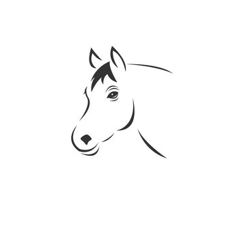 Vector image of an horse black and white. design style. animal. art. symbol. logo. Illustrator. on white background.