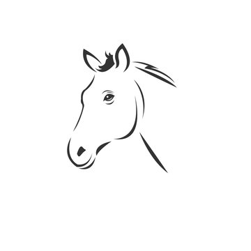 Vector image of an horse black and white. design style. animal. art. symbol. logo. Illustrator. on white background.