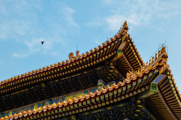 Fototapeta na wymiar China Beijing Peking - Roof of temple in the Forbidden City