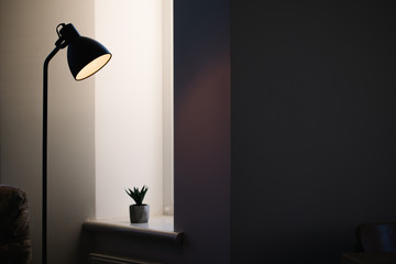 Black standing loft lamp in interior shining with edison bulb inside