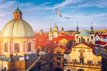 Aerial panorama view with flying birds of the Old Town in Prague, Czech Republic. Red roof tiles panorama of Prague old town.  Prague Old Town Square houses with traditional red roofs. Czechia.