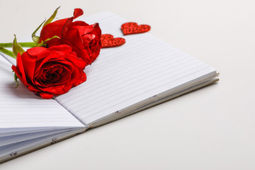 An open book with a red rose flower on it. White background.