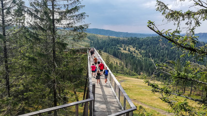 treetop path in Slovakia