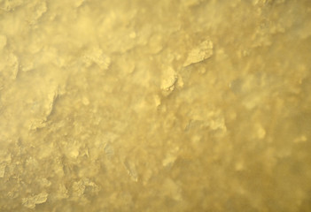 golden husk under tracing paper. golden texture as background