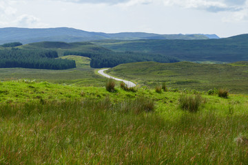 Fototapeta na wymiar Wiesen, Felder und Hügel, bei Ledmore, in den Highlands von Schottland