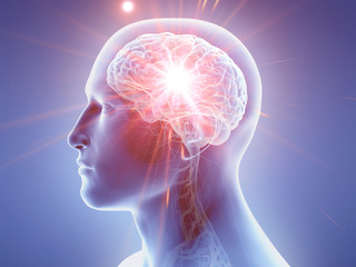 Fototapeta premium 3d rendered medically accurate illustration of the human brain