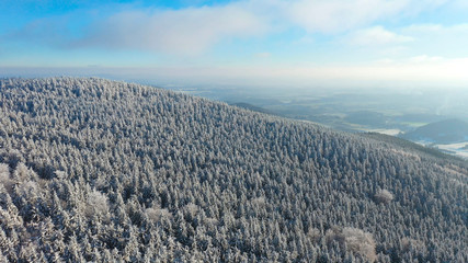 Fototapeta premium Aerial view of white spruce trees covered in fresh snow on sunny winter day in mountain, Liberec, Czech Republic