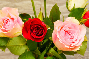 Day all lovers - Valentine's Day