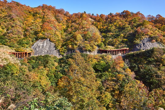 59 Best スノーシェッド Images Stock Photos Vectors Adobe Stock